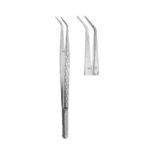 Dental Tweezers